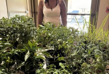 edentia wellness (1)